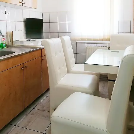 Petkovic Apartment Soko Banja