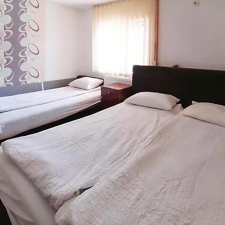 Petkovic Apartment Soko Banja