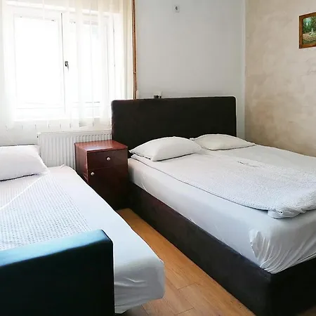 Petkovic Soko Banja