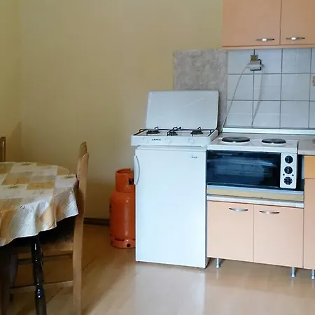 Apartment Petkovic Soko Banja