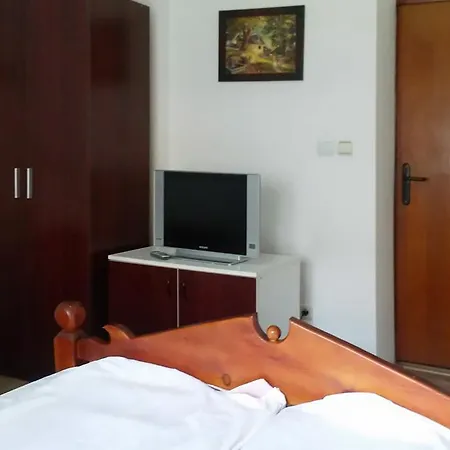 Apartment Petkovic *