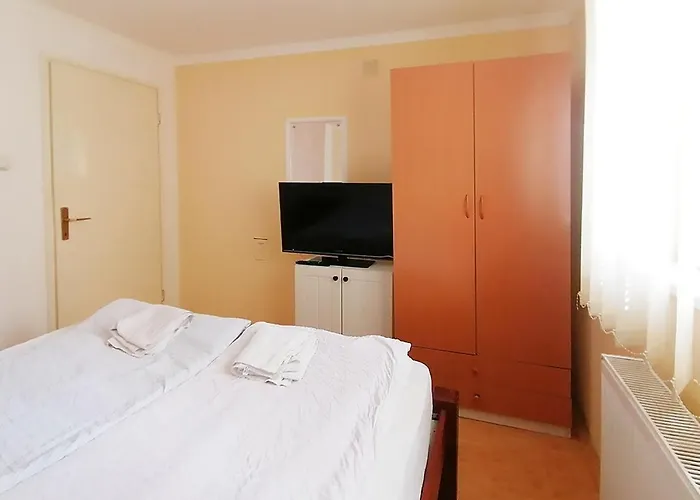 Petkovic سوكو بانيا