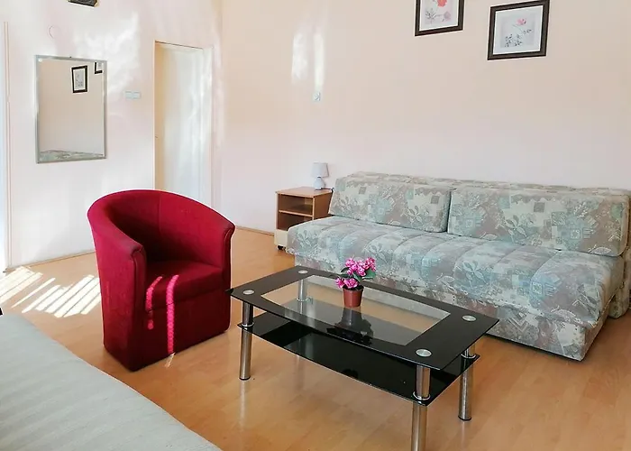 Petkovic * سوكو بانيا