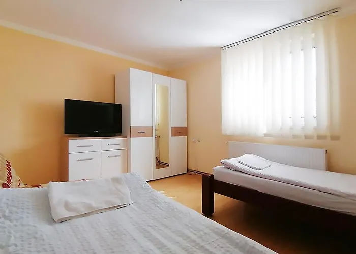 Petkovic سوكو بانيا