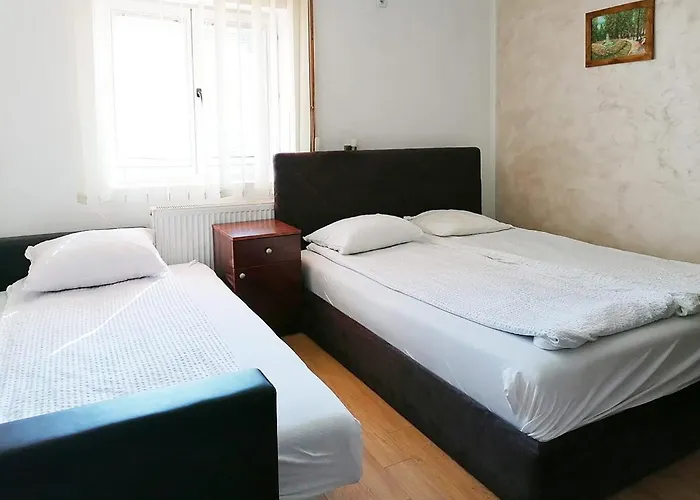 Petkovic سوكو بانيا